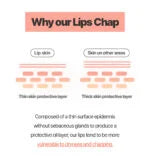 Laneige Lip Sleeping Mask Ex Berry