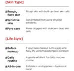 isntree Chestnut BHA 0.9% Clear Toner 200ml