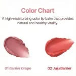 URIAGE x Romand Stick Lèvres Colored Lip Balm